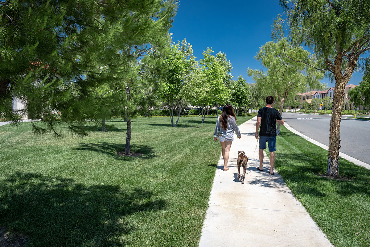 people walking on neighborhood sidewalk